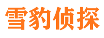 白水市调查公司